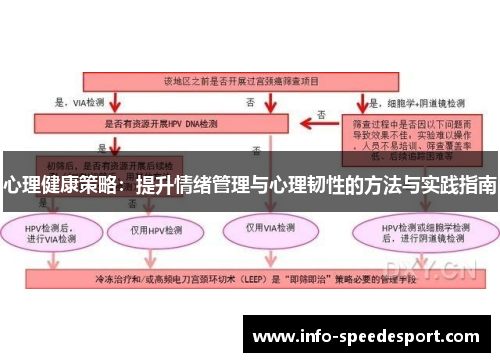 心理健康策略：提升情绪管理与心理韧性的方法与实践指南