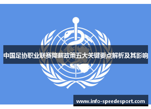 中国足协职业联赛降薪政策五大关键要点解析及其影响