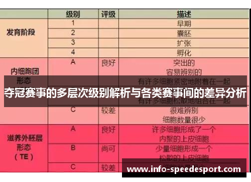 夺冠赛事的多层次级别解析与各类赛事间的差异分析