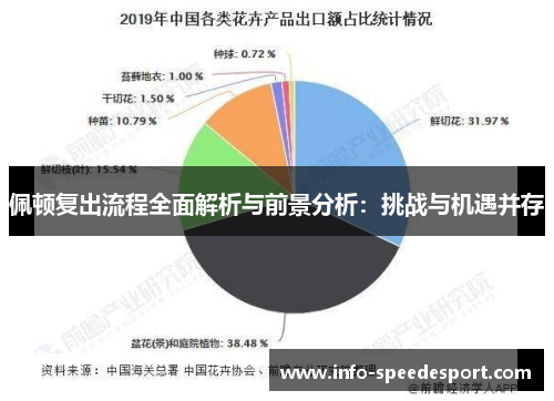 佩顿复出流程全面解析与前景分析：挑战与机遇并存