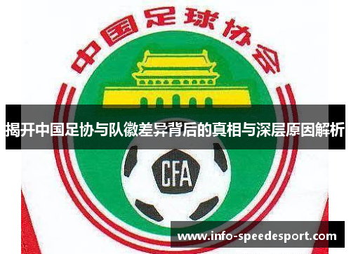 揭开中国足协与队徽差异背后的真相与深层原因解析