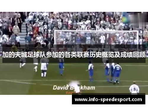 加的夫城足球队参加的各类联赛历史概览及成绩回顾 加的夫城足球队参加的各类联赛历史概览及成绩回顾